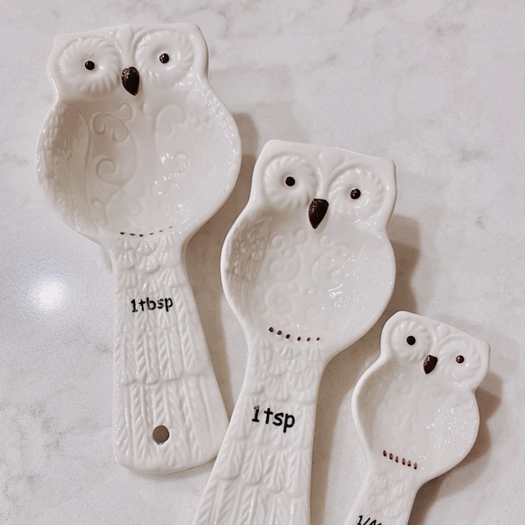 Pier 1 Other - Pier 1 Snow Owl Measuring Spoons